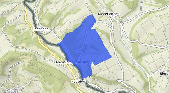 Bodenrichtwertkarte Ammeldingen an der Our